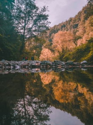 盛丰物流单号查询电话(行走怀化：山高水长出五溪)