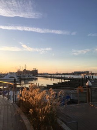 深圳国际货代物流网(美线货代跌宕30天)