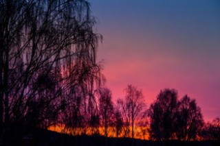 武夷山新增8例本土(【防疫动态】关于做好上饶入（返）武采制茶人员疫情防控措施的通告)