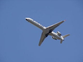 山东青岛疫情动态(青岛公布确诊病例详情，最大83岁！为什么会出现这次疫情？看专家最新解读)