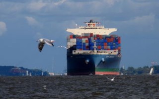 查货柜海运信息(新航线！天津港上线2条东南亚集装箱航线)