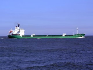 深圳国际货代物流网(美线货代跌宕30天)