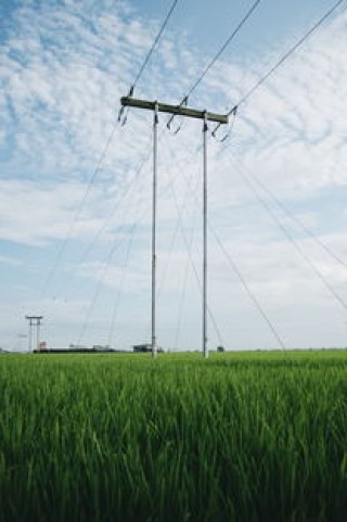 DHL国际物流使用技术(DHL快递携创新科技与绿色方案亮相，驱动物流行业高质量发展｜进距离)