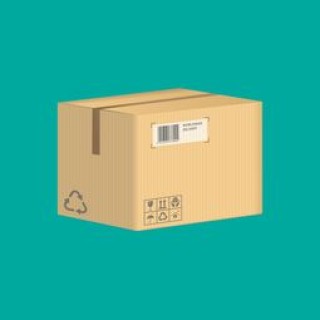 剑桥国际物流快递投诉(地毯寄回给卖家，“安能”是否包装好)