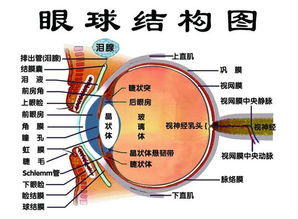 成都最好的近视手术排行