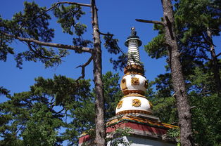 北京到承德避暑山庄(在清朝,皇帝若要从北京到承德避暑山庄避暑,路上需要多长时间?) 第1张 北京到承德避暑山庄(在清朝,皇帝若要从北京到承德避暑山庄避暑,路上需要多长时间?) 第1张