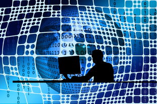 国际快递的物流信息查询(手机如何查询国际快递物流)  第1张