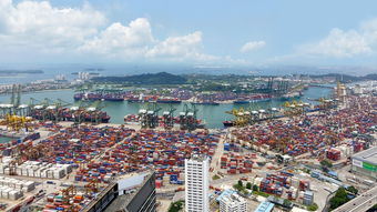 国际货运物流平台(国际物流服务平台运去哪:运价波动影响不大,平台订单仍增长) 第1张 国际货运物流平台(国际物流服务平台运去哪:运价波动影响不大,平台订单仍增长) 第1张