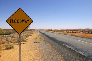 杭州到上海多少公里路(别吃！水洗几乎无效！近期很多人在捡)  第1张