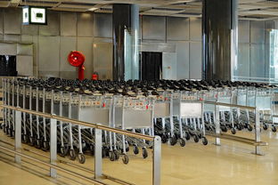 三亚物流托运(三亚机场推出真心“箱”伴托运行李服务) 第1张 三亚物流托运(三亚机场推出真心“箱”伴托运行李服务) 第1张