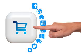 ueq的国际物流(有赞发布跨境电商行业解决方案，帮海淘商家实现合规化经营)  第1张