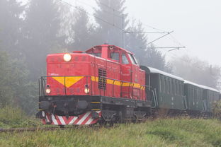 深圳到郑州的普通火车(深圳开往东北超快列车，3895km，停惠州，沈阳)  第1张
