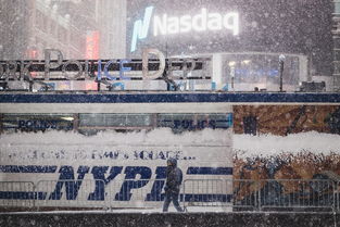 北海物流电话上门取货(@北海人 非常时期，共同战疫！线上买菜攻略来了！快快收藏，不怕断粮)  第1张