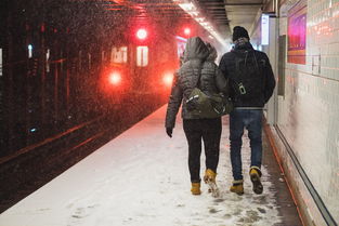 北京岳各庄市场疫情已致50人感染(北京本土感染者+56，6地风险调级！岳各庄市场相关疫情已致50人感染)  第1张