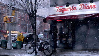 贰仟家物流总部电话(最新!第三批河南18家物流公司春节放假时间已定(附名单)) 第1张 贰仟家物流总部电话(最新!第三批河南18家物流公司春节放假时间已定(附名单)) 第1张