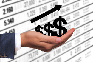 关闭!停运!河北多地最新通告来了(公交停运！班线暂停！河北多地最新通告)  第1张