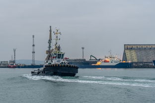 国际快递物流风险(出口越南需谨慎：医疗设备整柜海运的关键环节与风险解析)  第1张