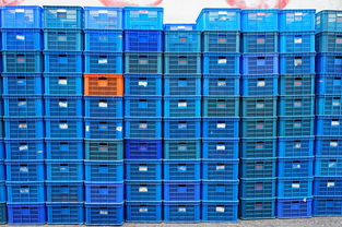 国际物流流程标准(国际物流运输服务流程有哪些 国际物流寄件步骤是怎样的)  第1张