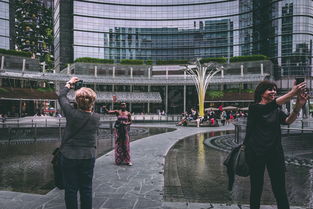 国际物流圣诞放假(美媒：圣诞季30亿件包裹考验美国物流业)  第1张