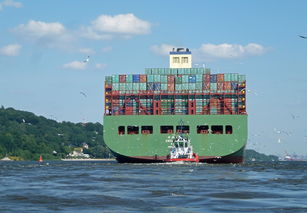 海运费用查询(今起开缴！中国港口对美船舶亮“收费单”，400元-净吨起步)  第1张