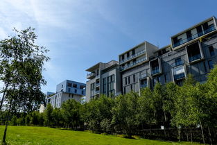 佳木斯建方舱医院真相(佳木斯一小区内建方舱医院引关注，最新回应)  第1张