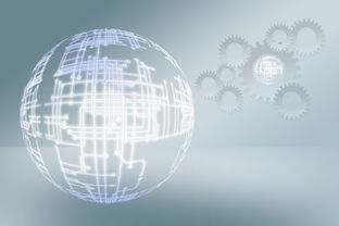 宁晋物流信息网(要素跟着项目走 服务围着项目转——宁晋高效推进重点项目落地)  第1张