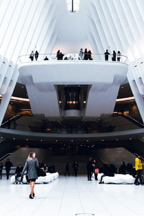 青岛到哈尔滨飞机(直飞运城等地!新航季山航新增多条青岛进出港航线) 第1张 青岛到哈尔滨飞机(直飞运城等地!新航季山航新增多条青岛进出港航线) 第1张