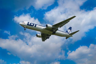 全国飞机票查询官网(留学生回国订机票攻略) 第1张 全国飞机票查询官网(留学生回国订机票攻略) 第1张