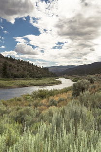 泉州疫情源头(福建泉州:本次病毒株进化分支6月以来仅在福建海上输入病例中检出) 第1张 泉州疫情源头(福建泉州:本次病毒株进化分支6月以来仅在福建海上输入病例中检出) 第1张
