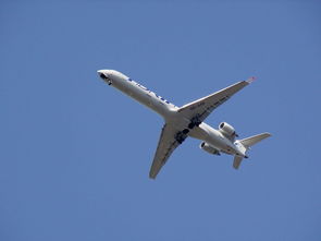 山东青岛疫情动态(青岛公布确诊病例详情，最大83岁！为什么会出现这次疫情？看专家最新解读)  第1张