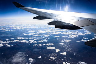 上海到深圳飞机多少钱(999元起，最贵近2000元！宠物进客舱的航线增加啦，解锁天津、泉州、贵阳等新城市)  第1张