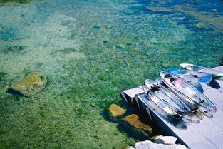 上海旅游团(邮轮游火爆！单次入境上海人数最多的韩国旅游团，他们来了！)  第1张