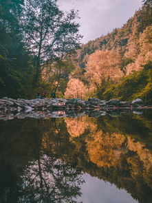 盛丰物流单号查询电话(行走怀化：山高水长出五溪)  第1张