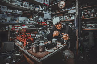 盛辉物流老板娘的照片(改革破难 拓“新”争效丨盛辉物流集团有限公司妇联正式成立)  第1张