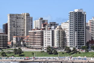 望奎县实施封城(最新！黑龙江望奎县宣布封城)  第1张