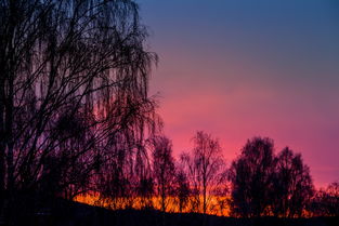 武夷山新增8例本土(【防疫动态】关于做好上饶入（返）武采制茶人员疫情防控措施的通告)  第1张