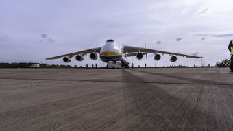 物流和国际货运区别(沃世国际货运如何让跨境运输更简单可靠)  第1张