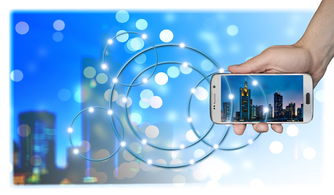 物流管理平台(手机下单、一键上门取件、送货到仓……这家智慧物流管理平台上线一个月订单超3000万)  第1张