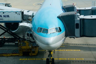 周边物流公司(2025上海物流专线推荐 商贸企业货物调拨公司排名)  第1张